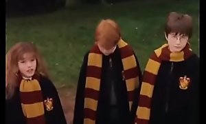 Harry Potter e a Pedra Filosofal (part.1)