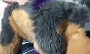 Fursuit pup fucked HARD on bed