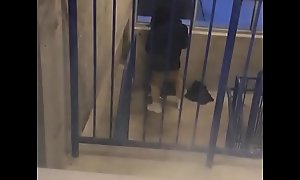 Teen thot fucked in stairwell