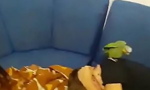 Amigo Yuri paga babão pra novinho branquelo (papagaio incluso)