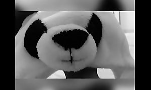 Chico tiene sexo con un panda